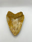 New Tooth 5