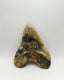 S&P Meg Tooth
